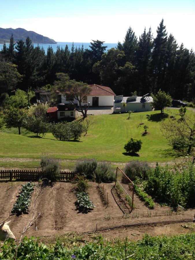 Waipiro Bay Paradise Bed and Breakfast Te Puia Eksteriør billede